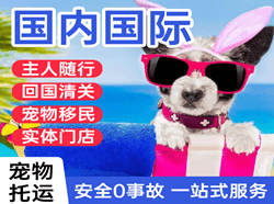 珠海莲洲机场货运国际宠物托运 【国